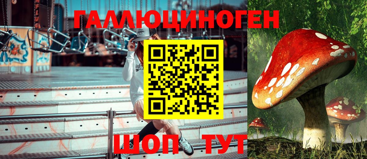 Ростов-на-Дону  Галлюциногенные грибы GOLDEN TEACHER  Вход с VPN  закладка  Псилоцибиновые грибы Psilocybine cubensis 